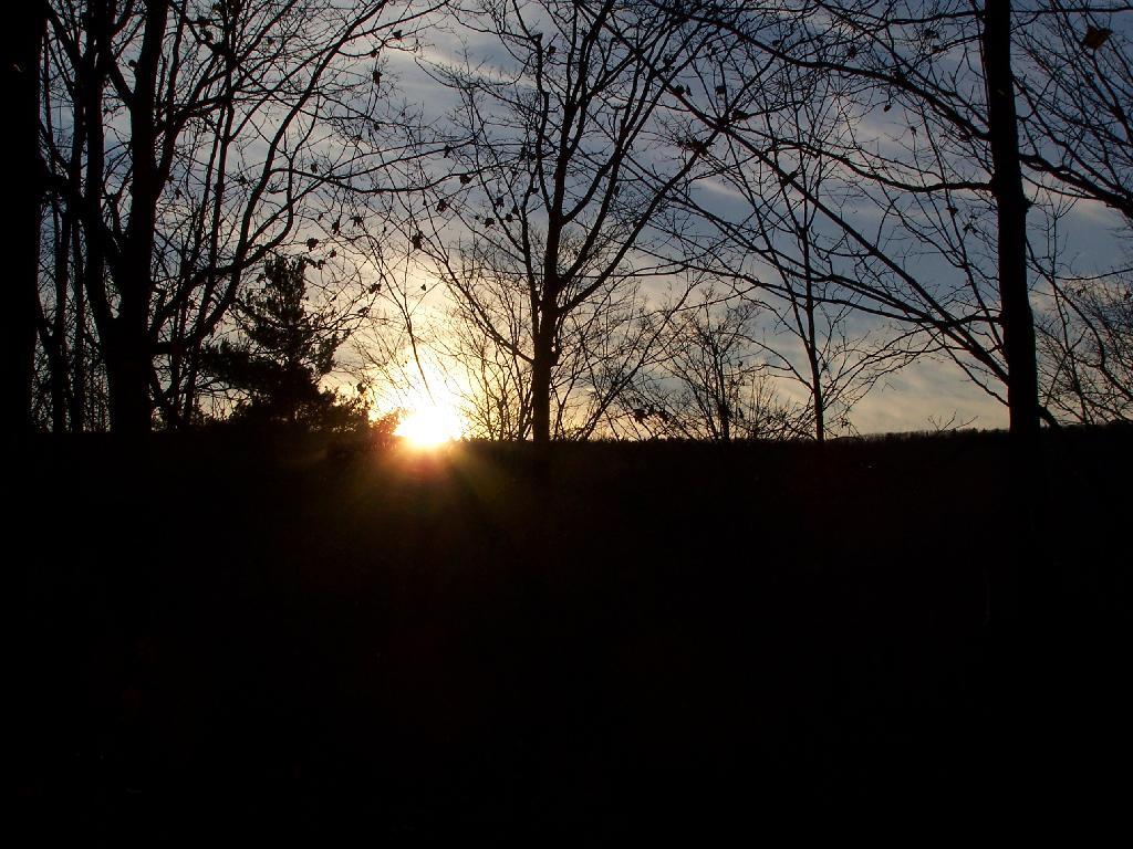 Photo: Setting Sunset