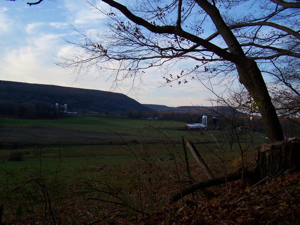 Photo: Cass Hill