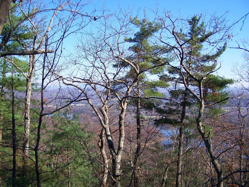 Photo: Limited Views As You Climb Photo: Limited Views As You Climb