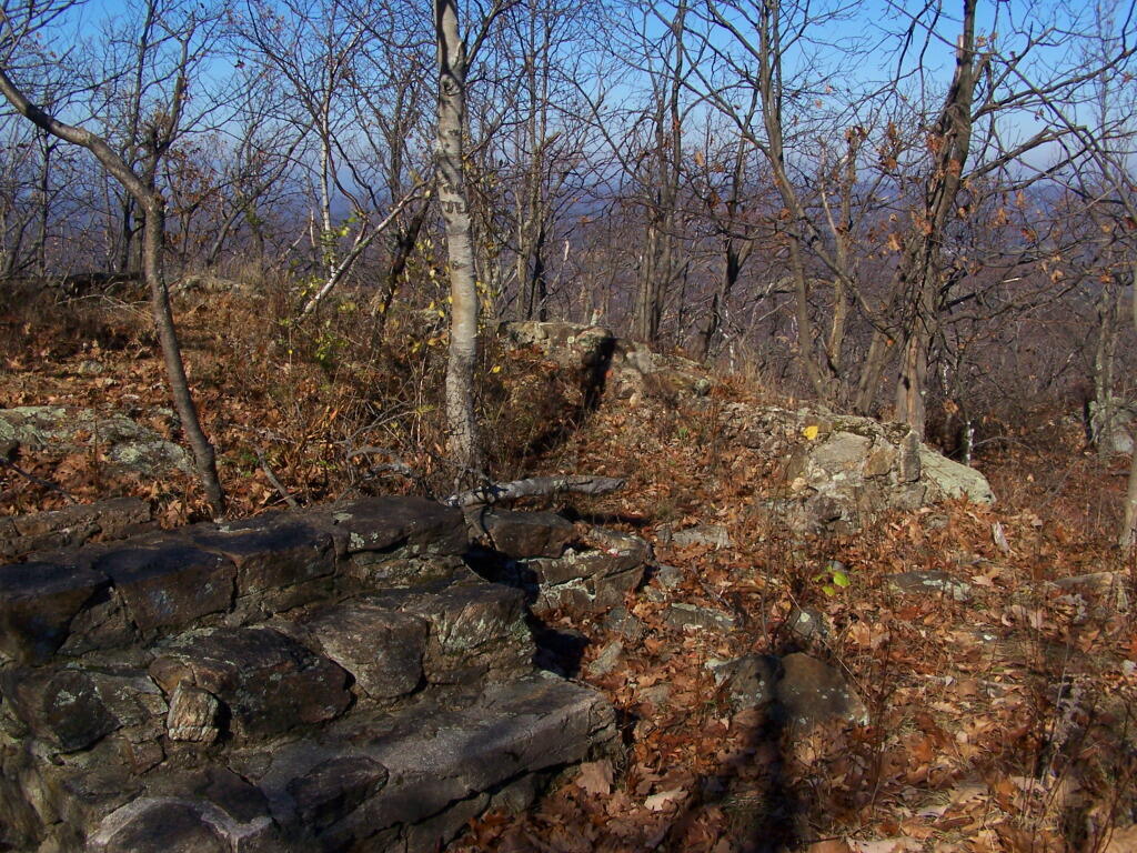 Photo: Remains of Old Rangers Cabin Photo: Remains of Old Rangers Cabin
