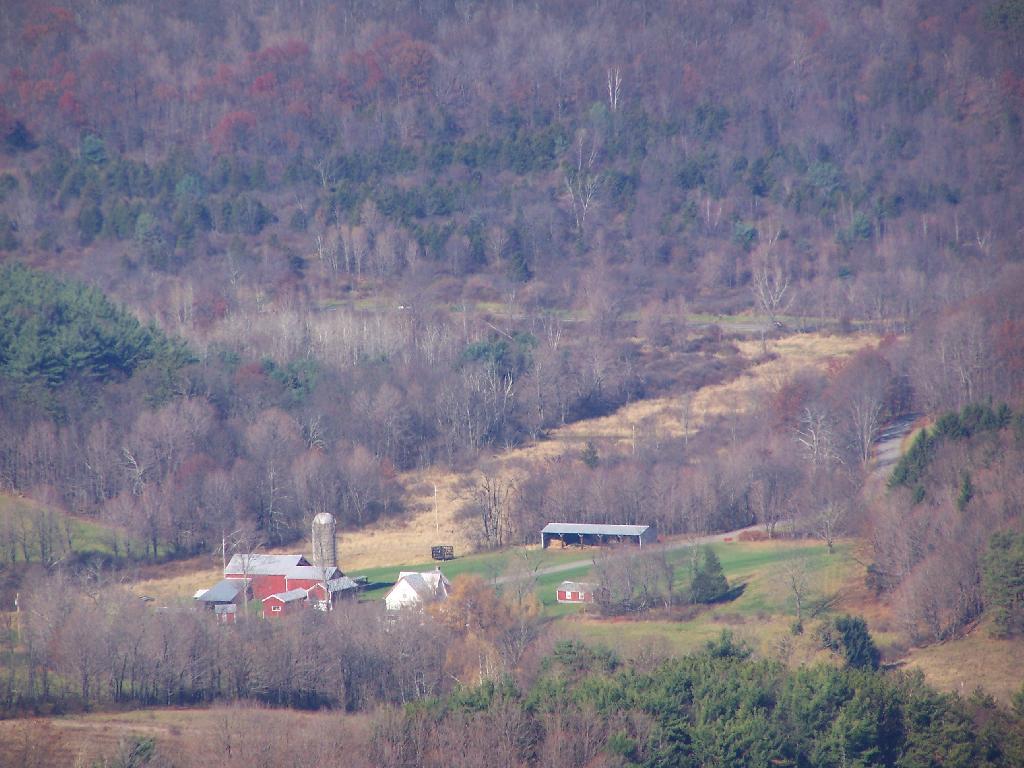 Photo: Farm