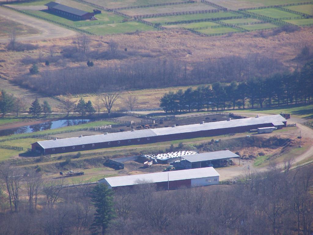 Photo: Cattle Barn