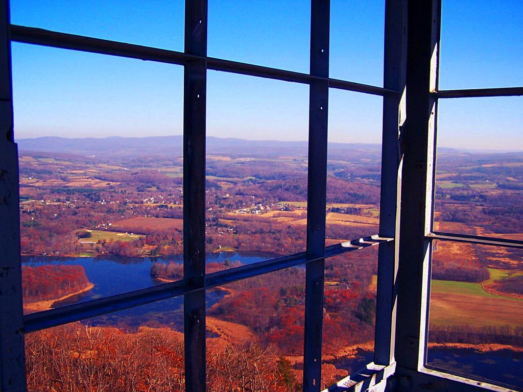 Photo: Thru Tower Windows