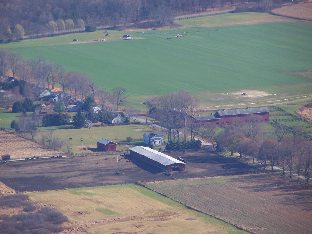 Photo: Cows and Barn Photo: Cows and Barn
