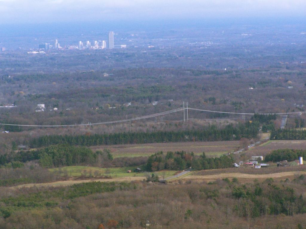 Photo: Albany