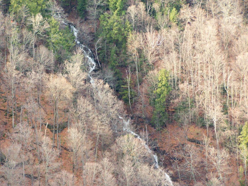 Photo: Stream of Water