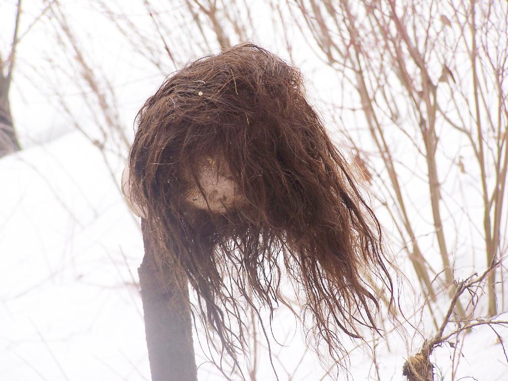 Photo: Head