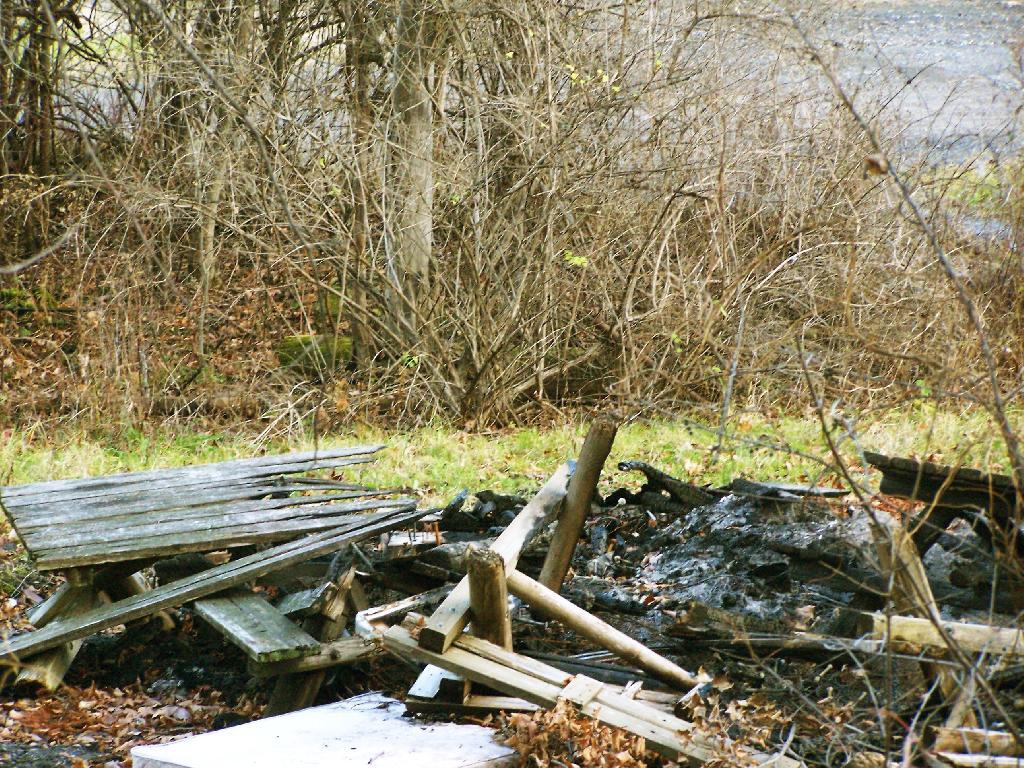 Photo: Thatcher Park Burn Pile