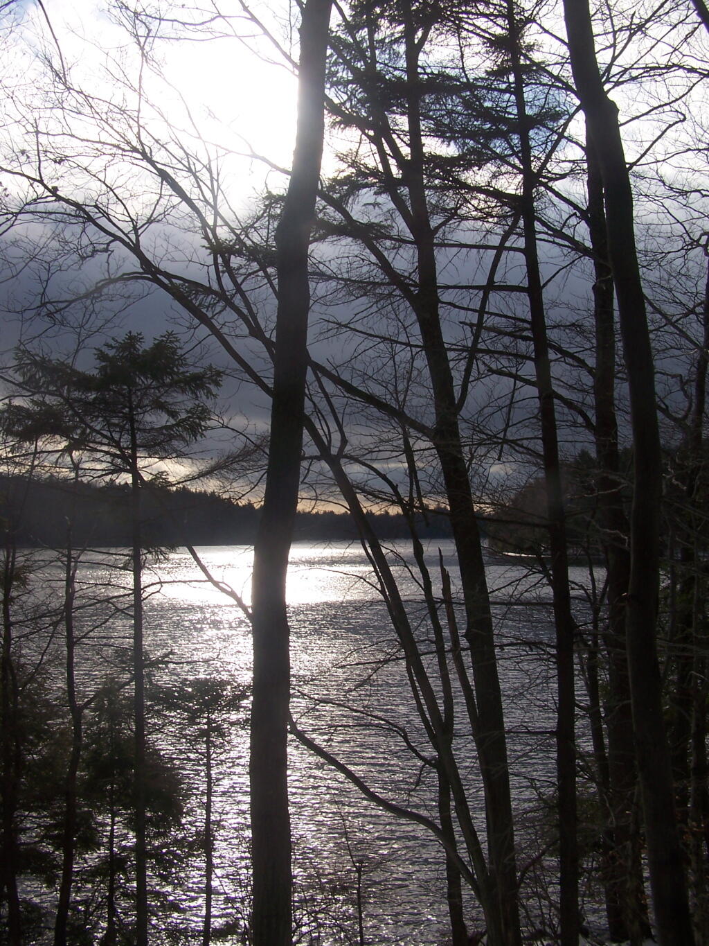 Photo: Long Pond Through the Trees