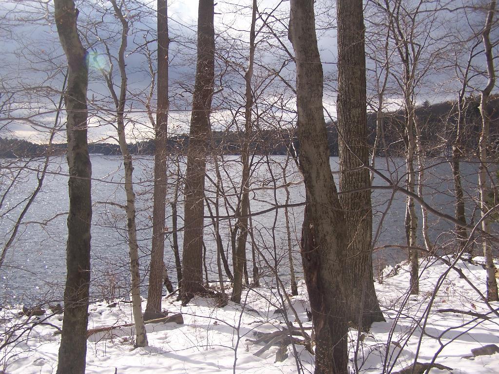 Photo: Far End of Long Pond