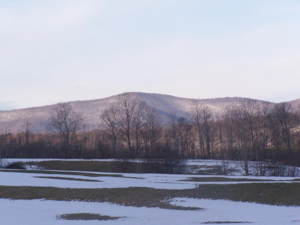 Photo: Deer Ridge