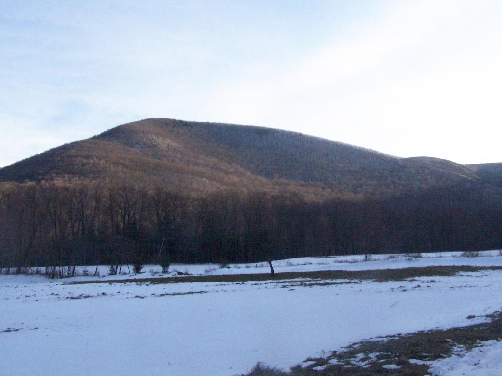 Photo: Mount Prospect from Hadley Farm Photo: Mount Prospect from Hadley Farm