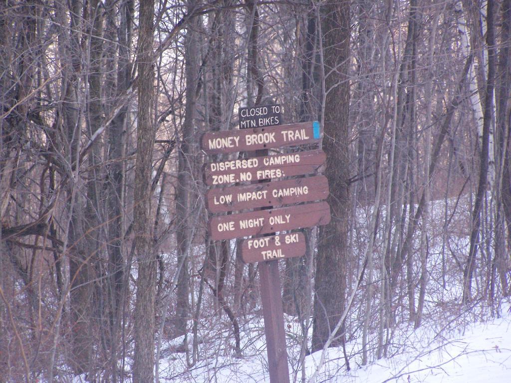 Photo: Dispersed Camping Along Money Brook