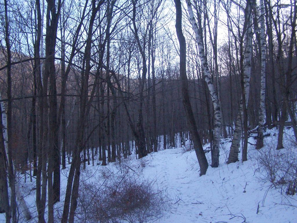Photo: Heading Up Hopper Trail