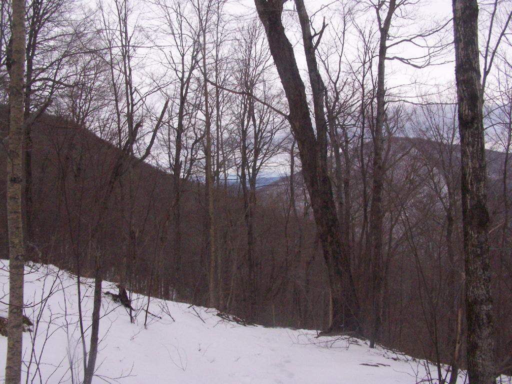 Photo: Looking Down Trail Towards Mount Prospect