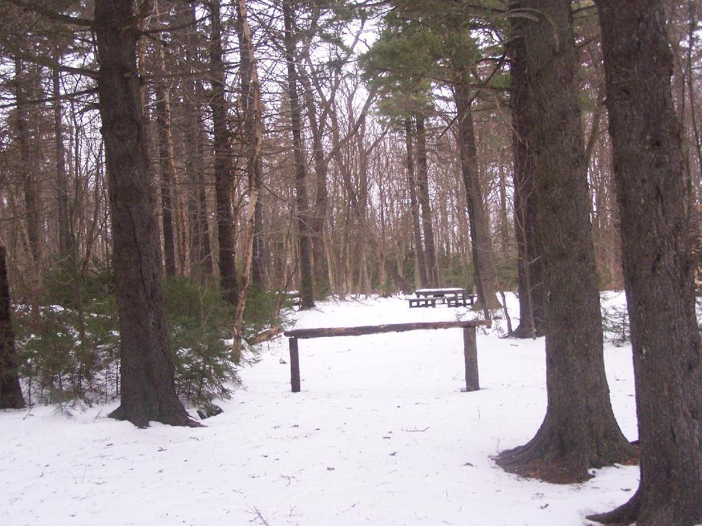 Photo: Sperry Road at Campground