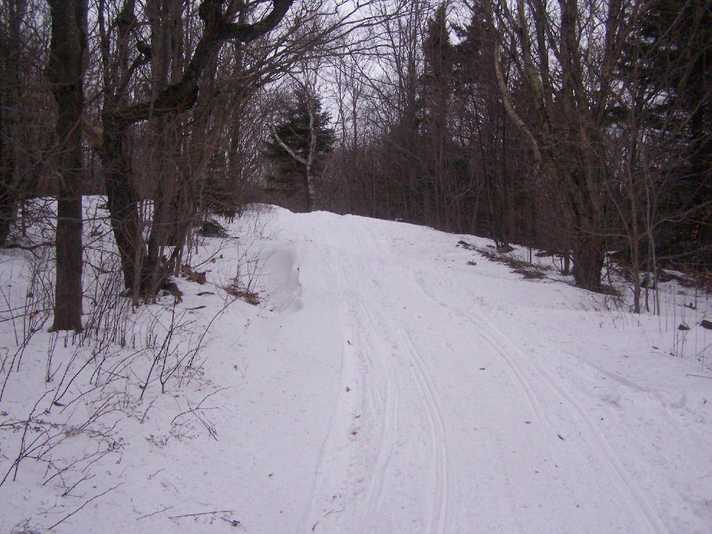 Photo: Sperry Road, Now Snowmobile Trail