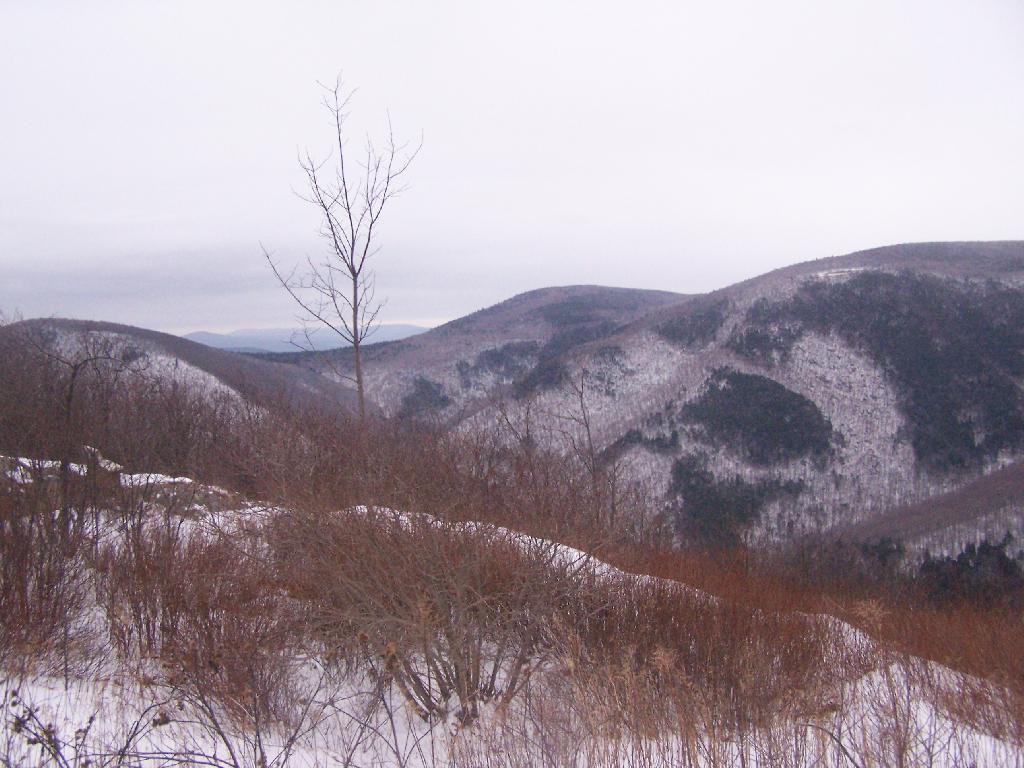 Photo: Mount Prospect, Mount Williams, and Mount Finch