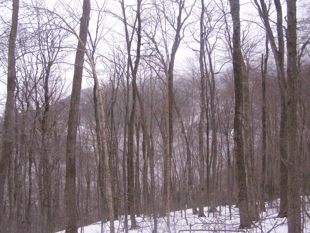 Photo: Greylock Shrowed in Snow