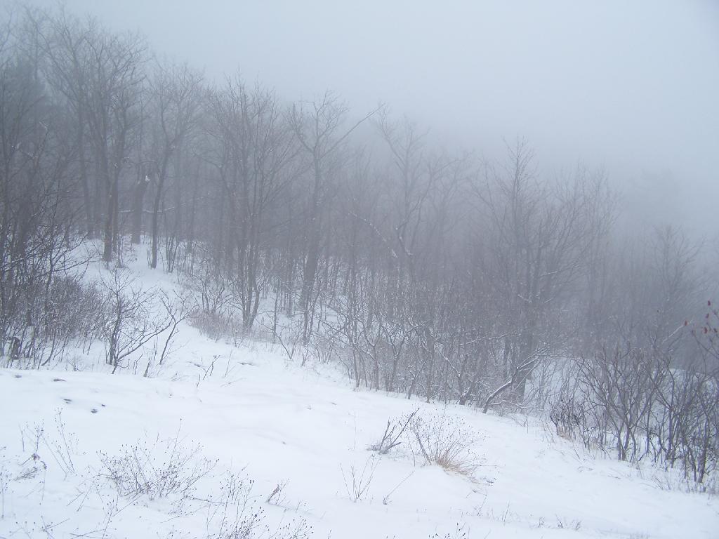 Photo: Cold on Snake Mountain.