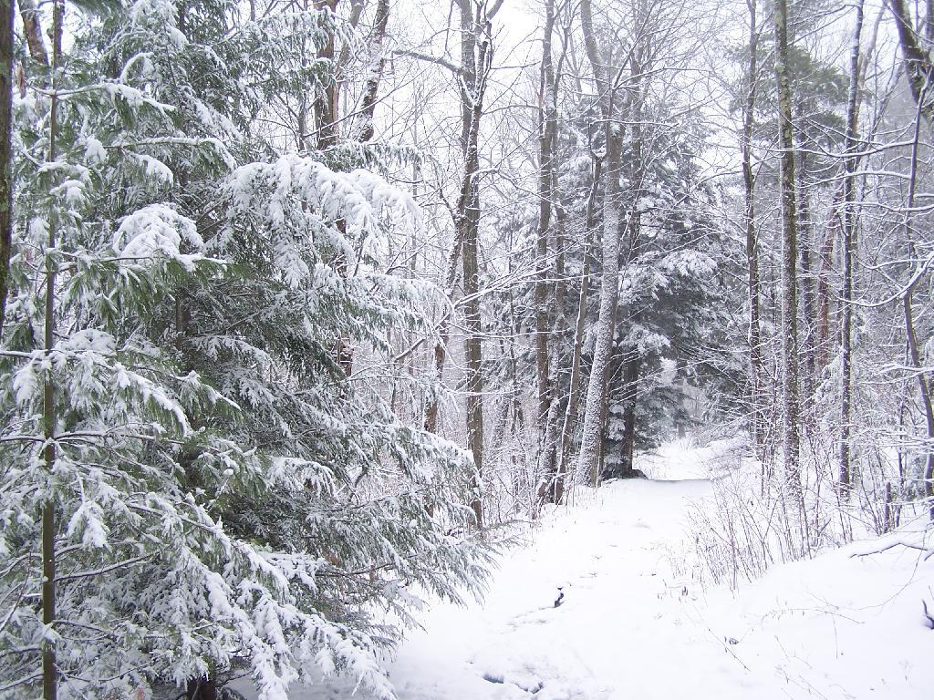 Photo: Descending the Mountain