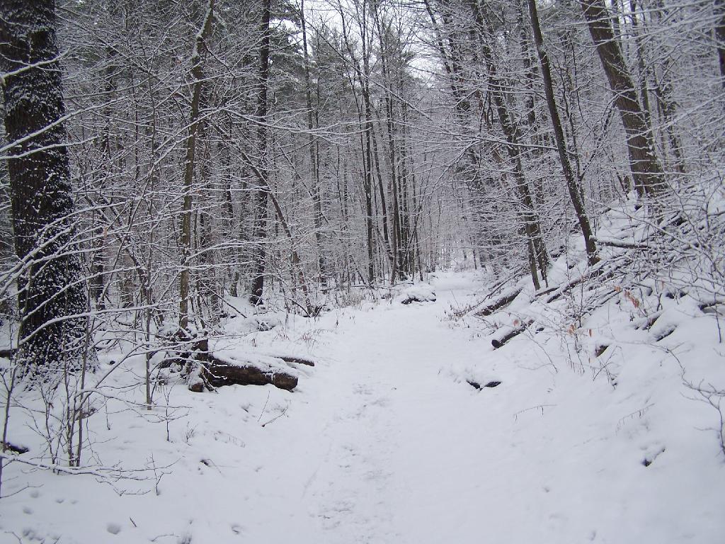Photo: Steep Part