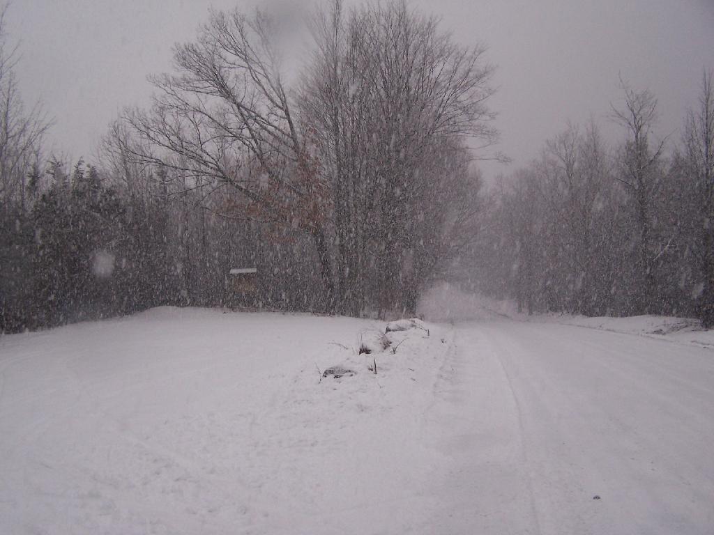 Photo: Trailhead Parking