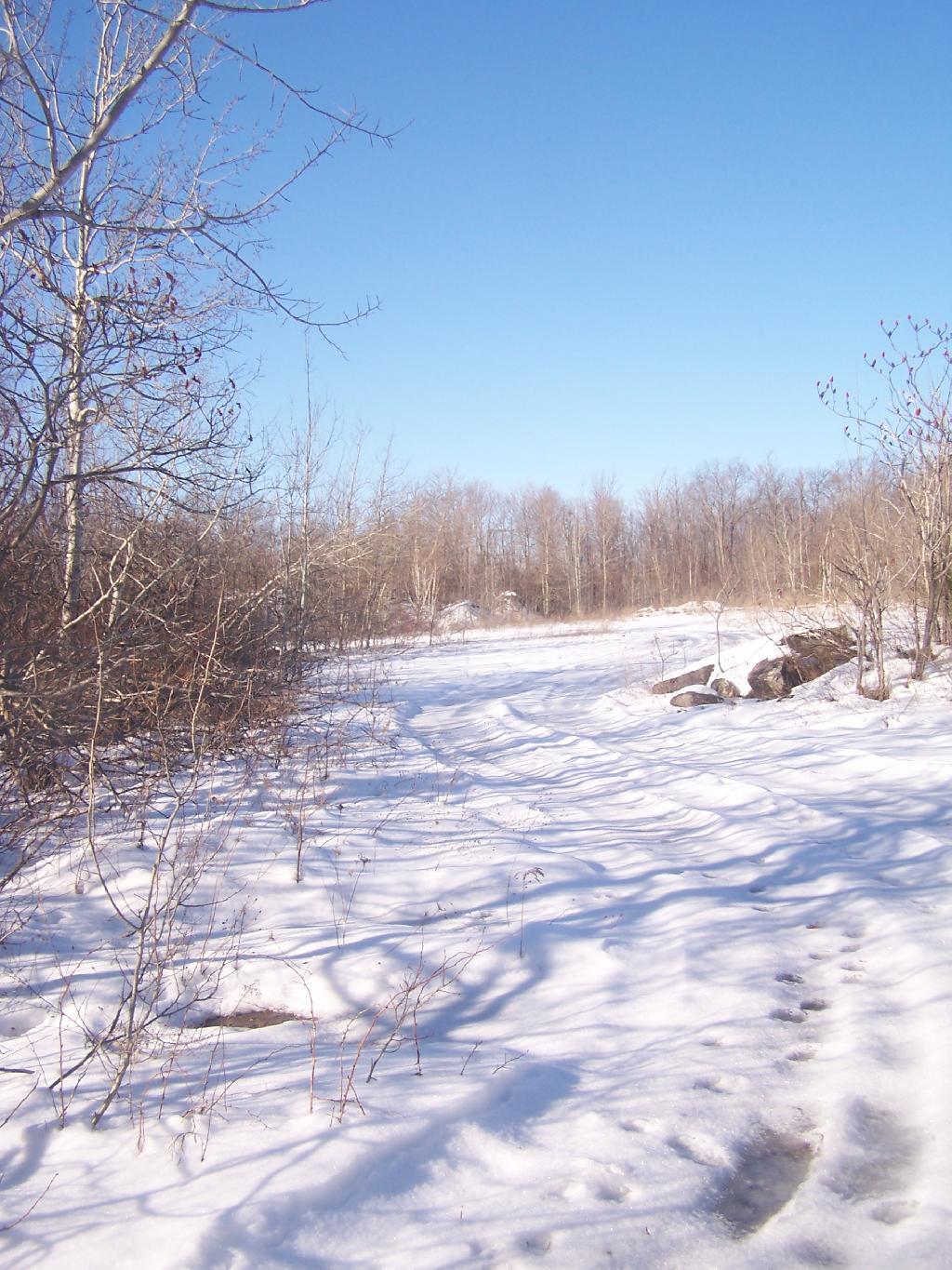 Photo: Bluestone Mine Tracks