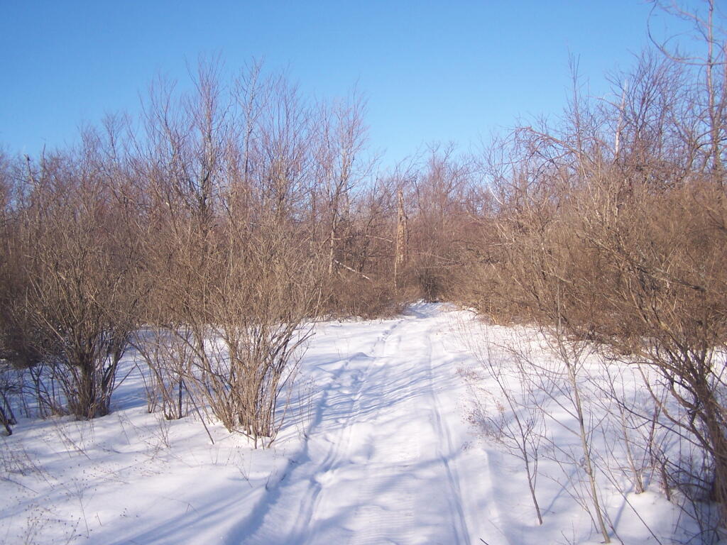 Photo: Following a Snowmobile Trail