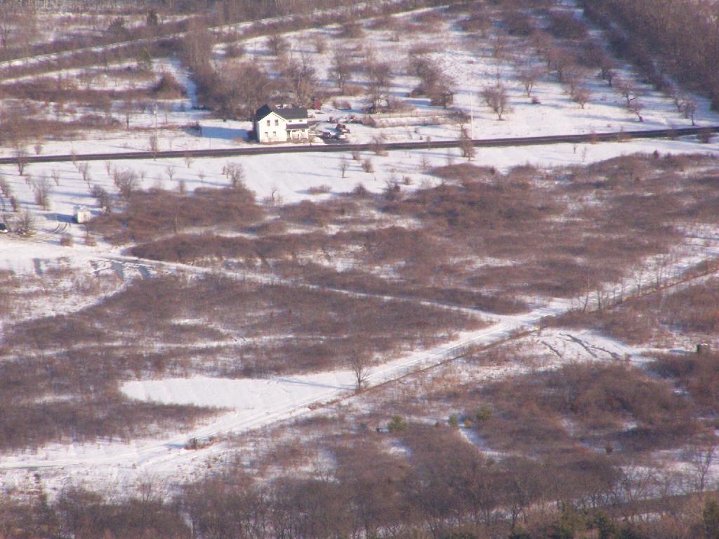 Photo: House and Road