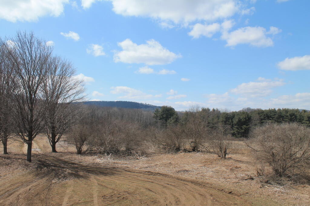 Photo: South