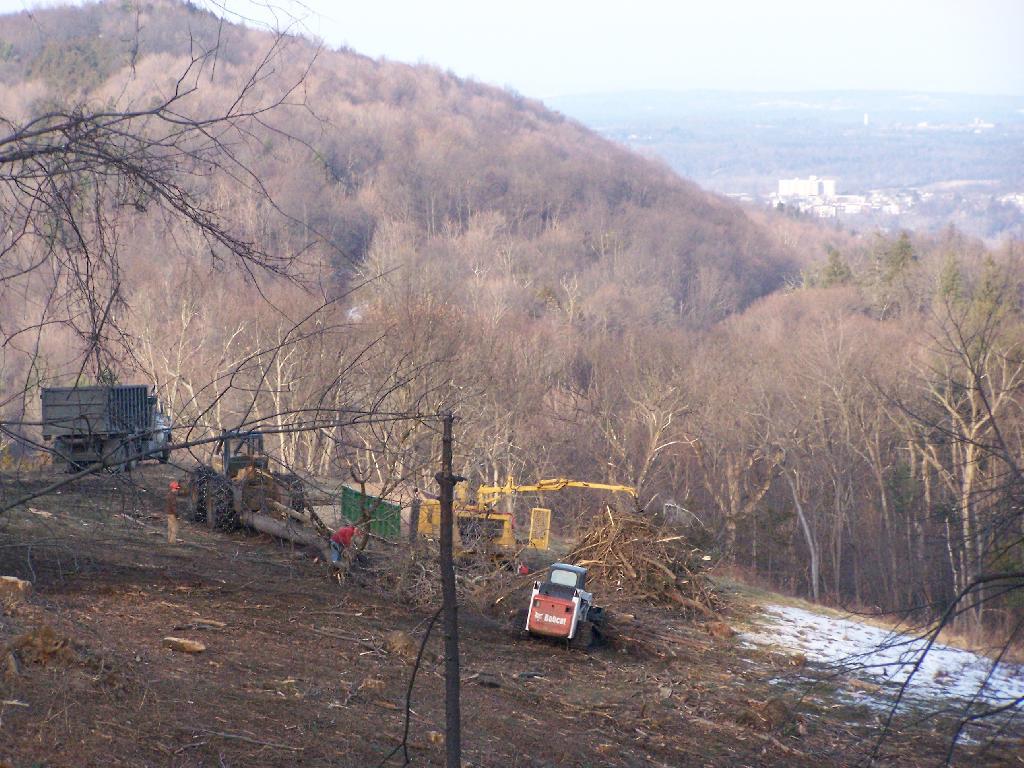 Photo: Removing Logging Trash
