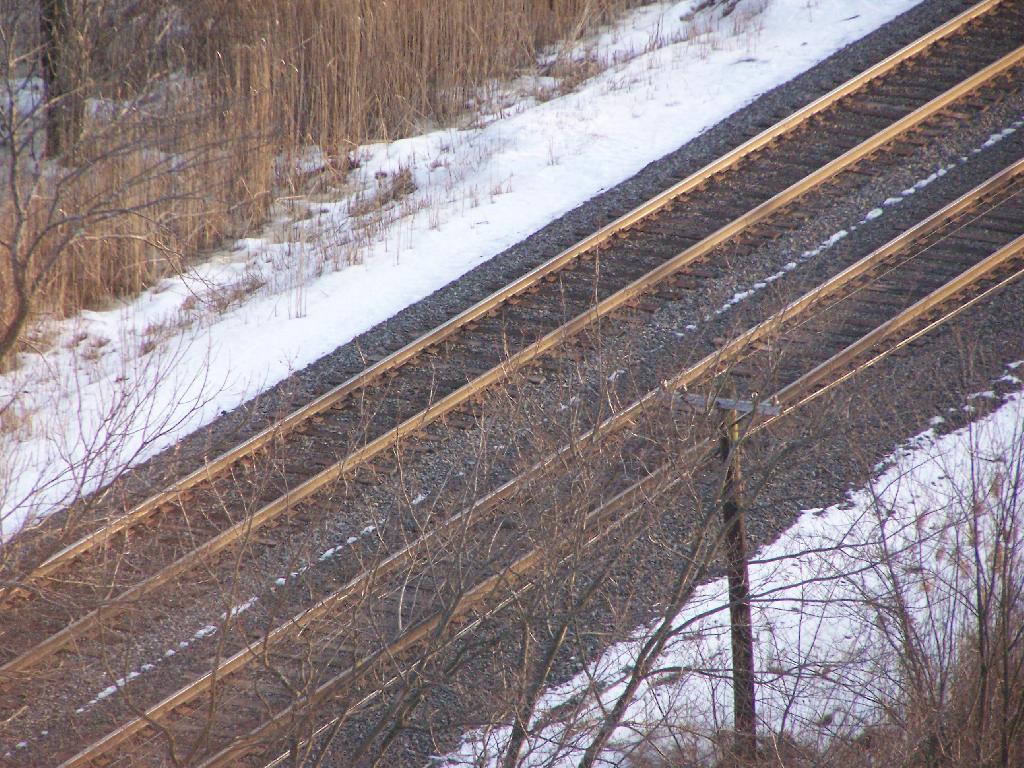 Photo: Rails