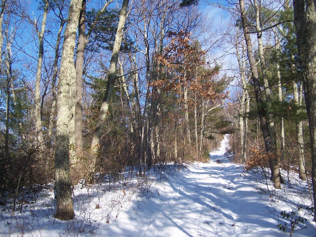 Photo: Climbing the Trail