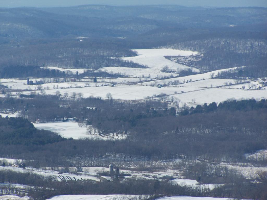 Photo: Frozen Farms