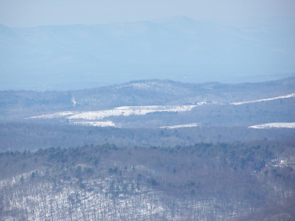 Photo: Snowy Taconics