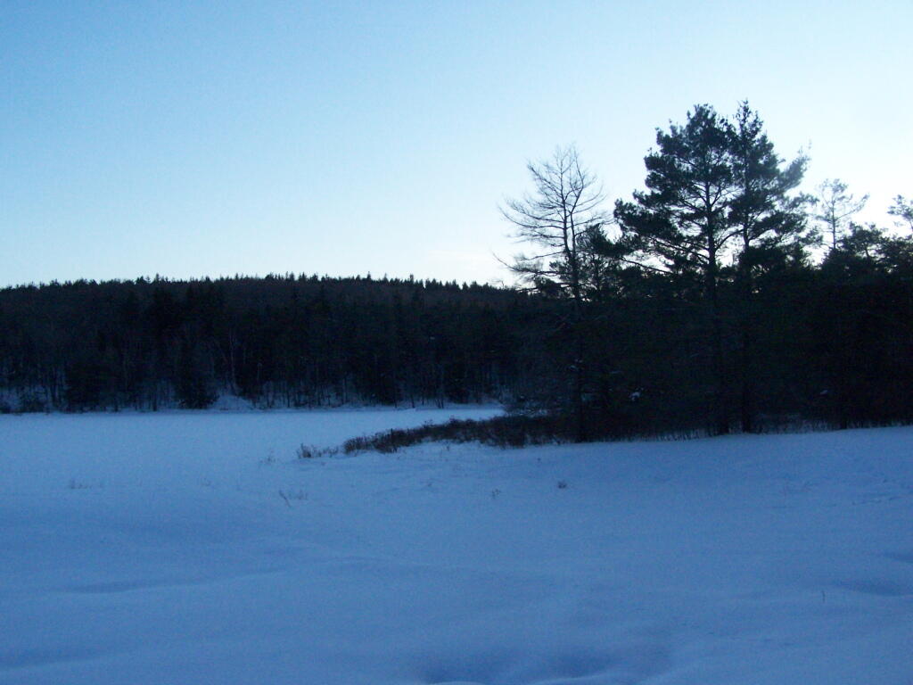 Photo: Upper Pond on Beaver Road