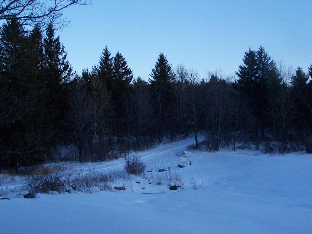 Photo: Beaver Road