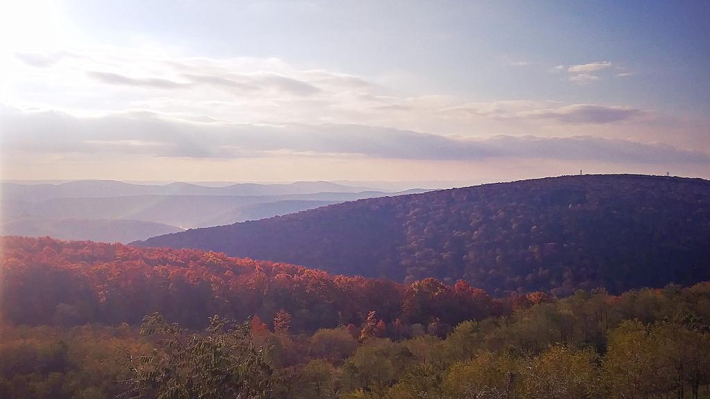 Photo: Scherr Overlook