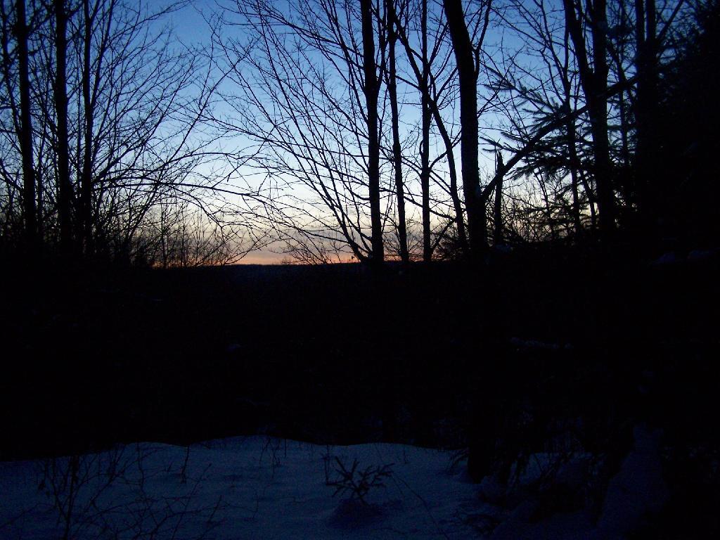 Photo: Dark Out