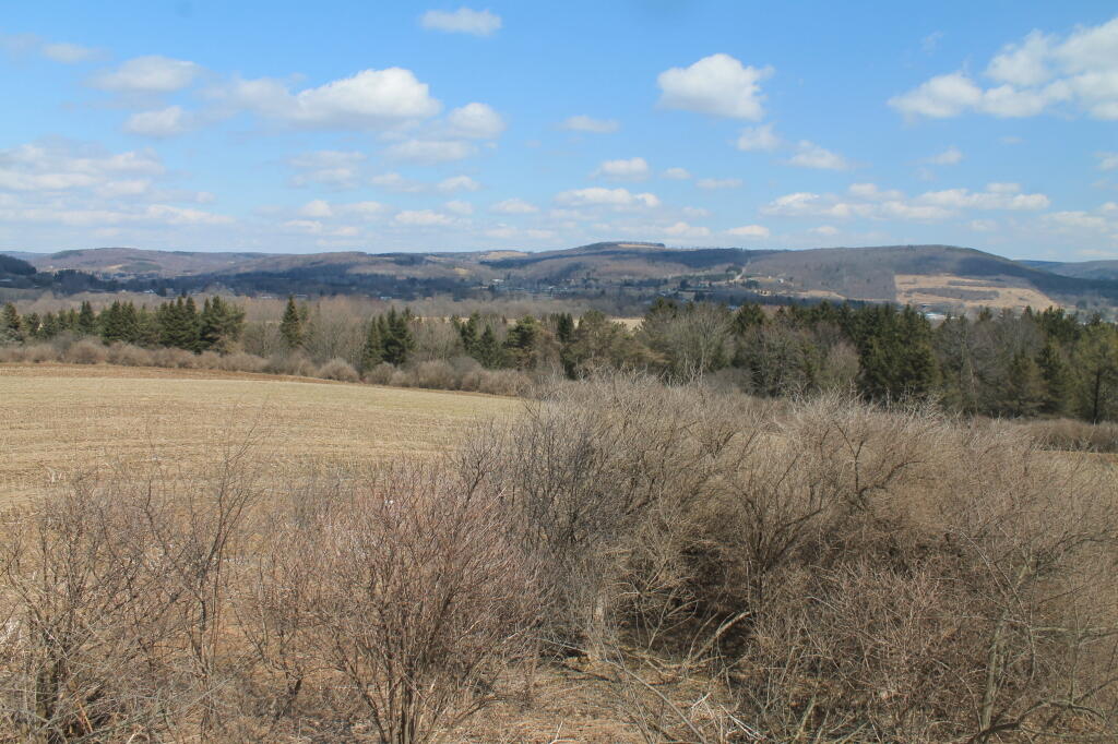 Photo: North