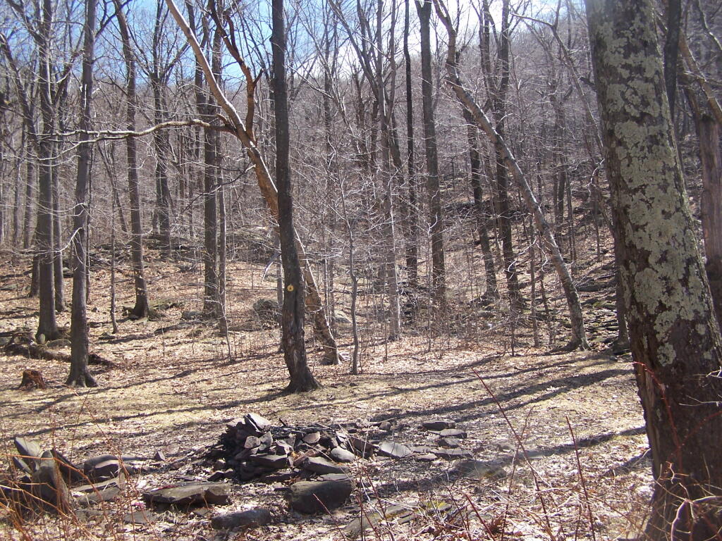 Photo: Echo Lake Campsite