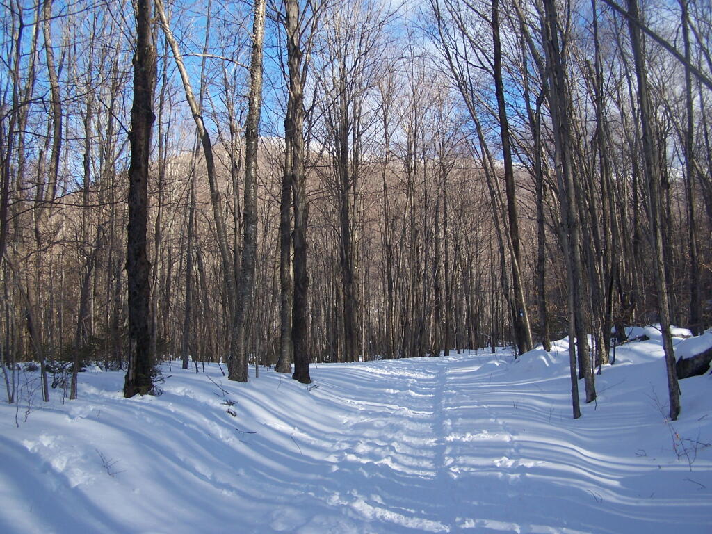 Photo: Starting Up the Spruceton Trail