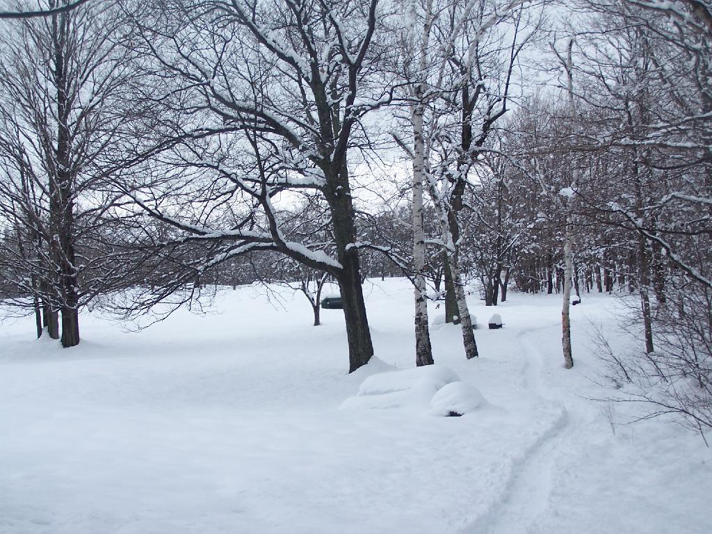 Photo: Snowshoeing Along Horseshoe Clove