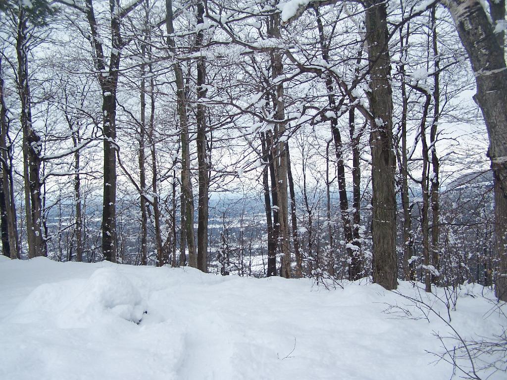 Photo: Heading Down to Escarpment