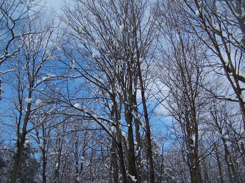 Photo: Blue Skies