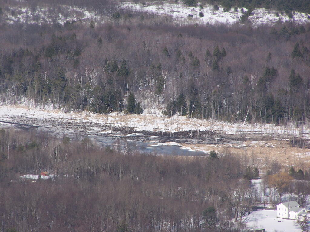 Photo: Wetlands