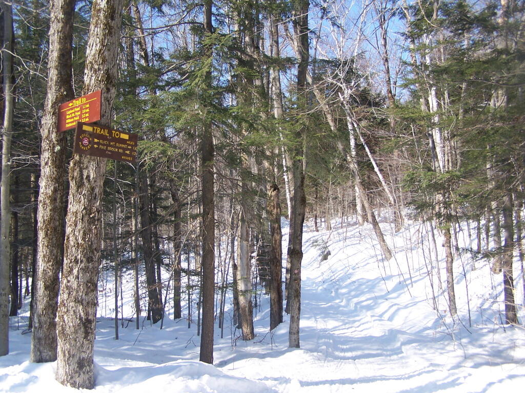 Photo: Intersection of Yellow and Red Trails