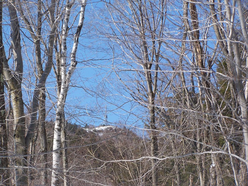 Photo: Black Mountain
