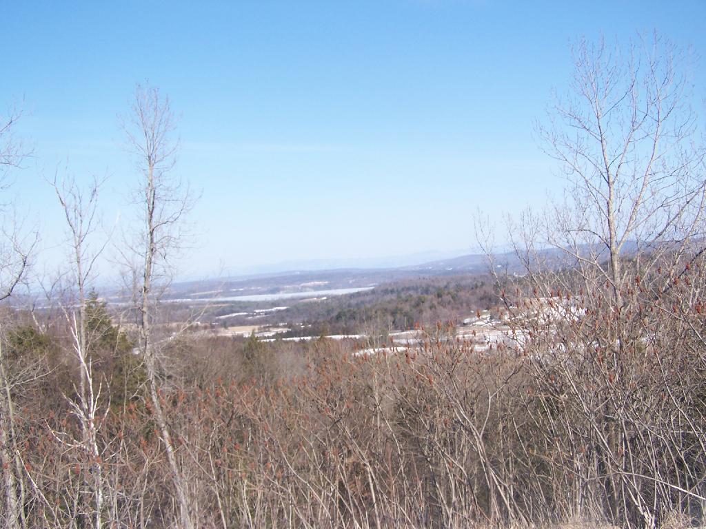 Photo: View from Parking Area